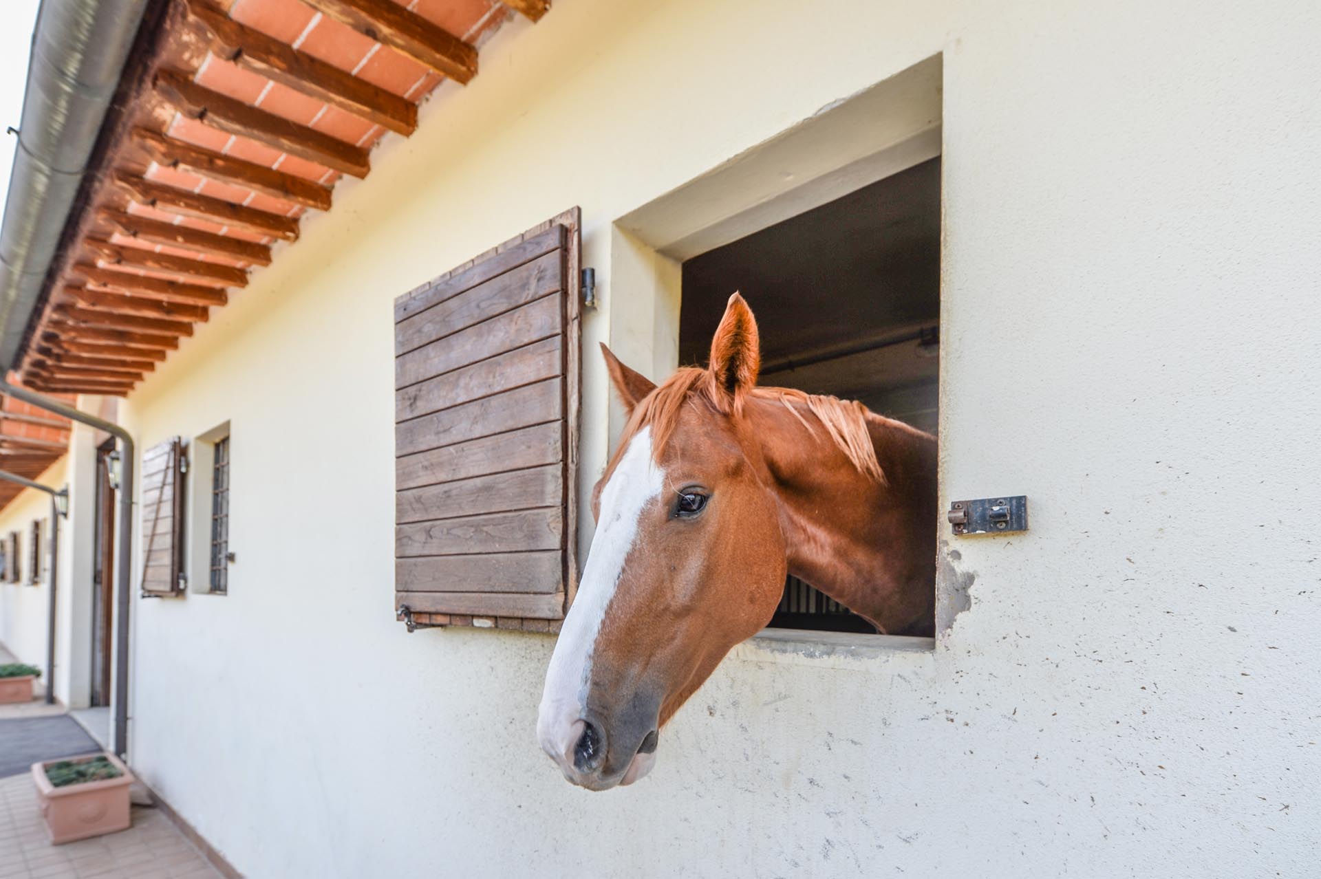 CAVALLI, EQUITAZIONE, POLO: MANEGGI, AGRITURISMI, VILLE & CASALI IN CAMPAGNA CON SCUDERIE
